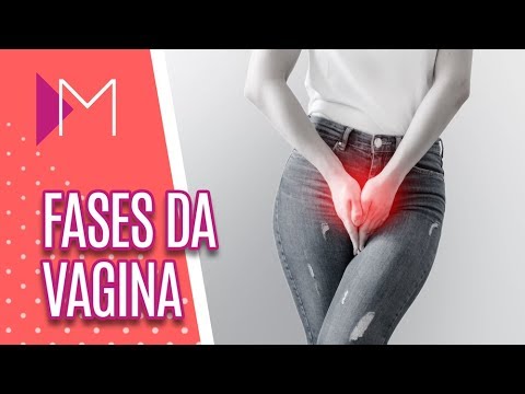 Diferentes fases da vagina - Mulheres (01/07/19)