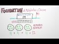 Understanding Multiplication in Second Grade