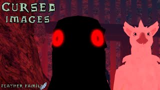 The Most CURSED Images/Videos of Feather Family YOU HAVEN'T SEEN! ☠️❗