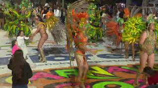 CARNAVAL  2026 - Canal 8