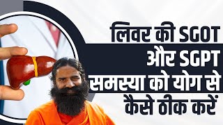 लिवर की SGOT और SGPT समस्या को योग से कैसे ठीक करें || Swami Ramdev