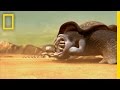 Alien Life Forms and Their Adaptations