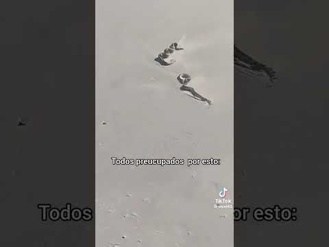 La trompeta 💀