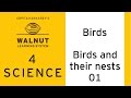Bird Nesting Behavior and Functions