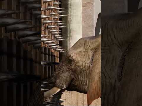 elefantes eram usados como tanques #shortvideo