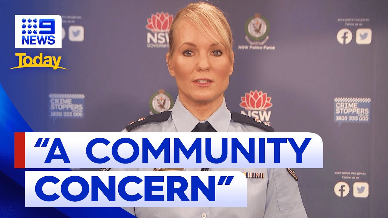 NSW Police launch new domestic violence offender register | 9 News Australia