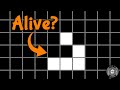 Understanding Life: A Scientific Exploration