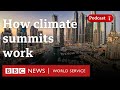 Understanding COP and Climate Negotiations