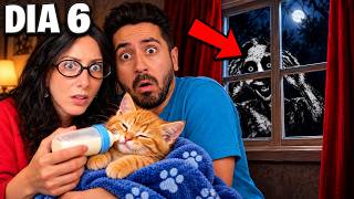 Virei Babá De Gato em Uma Casa com Anomalias