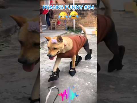 #prankvideo #prank #sorts #funny