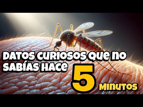 Datos CURIOSOS Que No Sabías Hace 5 MINUTOS 🤔🧠🤯