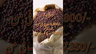 Cotton Rate Today| Wheat Rate|Mustard Rate | 8 October #2024 #today #cotton #wheat #marketing #flour