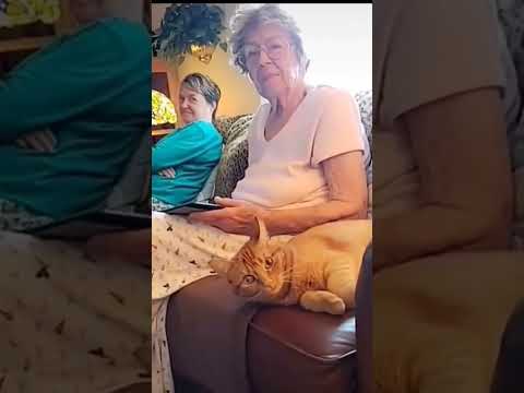 Fart on your pet to see his reaction ! #fart #compilation #farting #pet