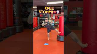 Brutal Knee Destroyer!!💀 #fitnessover40 #martialarts  #selfdefense