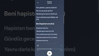 Alizade - Hapisane (şarkı sözleri)
