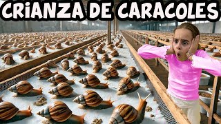 Mi GRANJA de CARACOLES