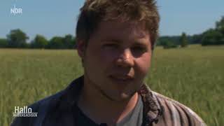 Frühstück und Landwirtschaft