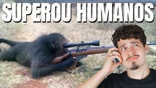 ANIMAIS BIZARRAMENTE INTELIGENTES