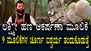 ಐಶ್ವರ್ಯ ಹೆಚ್ಚಿಸುವ ಮೂಲಿಕೆ | 9 ಮೂಲಿಕೆಗಳ ಒಂದು ಚೂರ್ಣ ಧನ ಆಕರ್ಷಣೆ ಮಾಡುತ್ತೆ