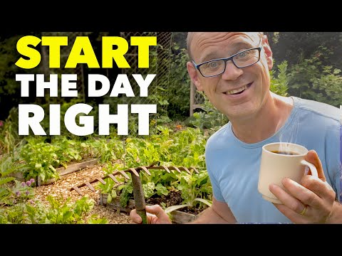 The Morning Routine that Keeps my Garden Thriving (10 mins a day)
