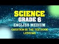 Understanding the Video Tutorial