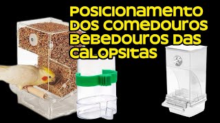 Posicionamento Dos comedouros e Bebedouros das calopsitas •#calopsitas_mansa #calopsita