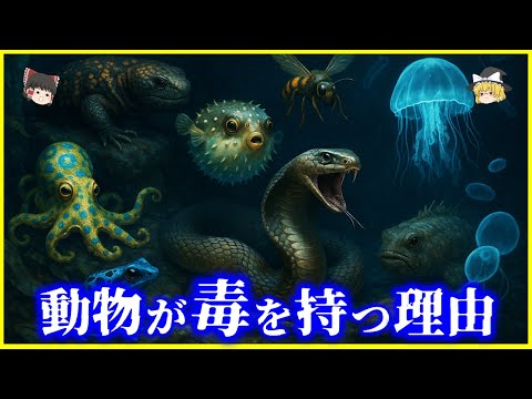 【ゆっくり解説】 動物が毒を持つ理由とは？動物の毒の種類を解説/動物が持つ毒、最恐強さランキングTOP10