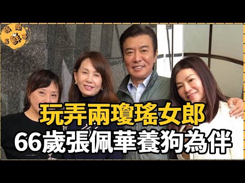 玩弄兩瓊瑤女郎，二婚被迫娶孕妻，66歲張佩華不願回家養狗為伴【娛樂星鮮事】#張佩華