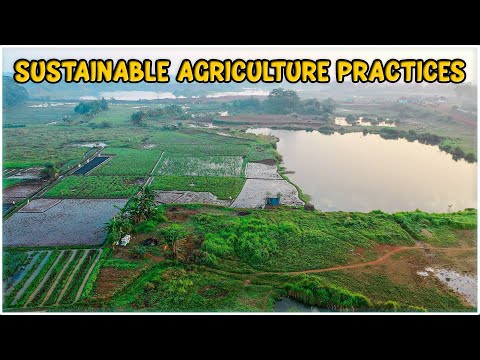 Sustainable Agriculture Practices | Integrated Farming System