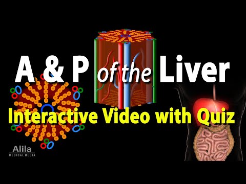 Anatomy & Physiology of the Liver, Interactive Video with Quiz