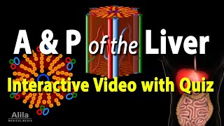 Anatomy & Physiology of the Liver, Interactive Video with Quiz