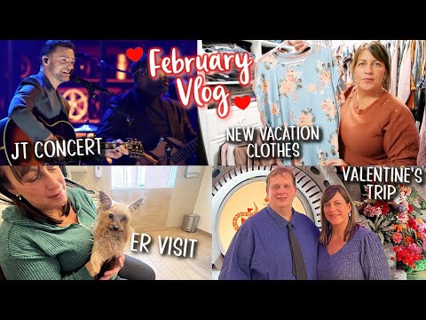 February Vlog | JT Concert, Valentine's Trip & Dog ER Visit
