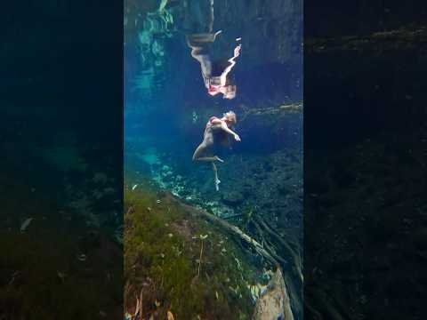 ❤️‍🔥 underwater #freediver #freediving