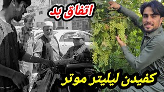 سفر جنجالی ما به شمالی/ باغ و تاک های انگور/تبریکی نامزدی