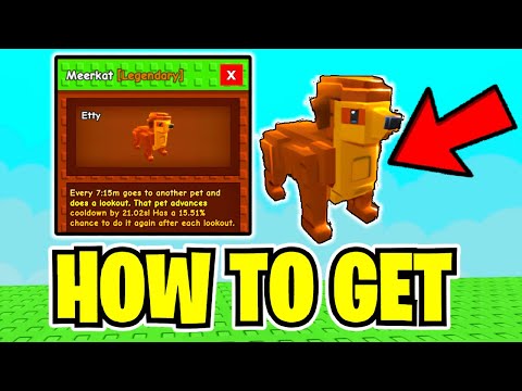 How To GET MEERKAT & SHOWCASE In GROW A GARDEN! (FULL GUIDE) ROBLOX