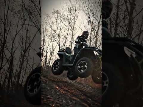 Bashan Explorer 330 Base