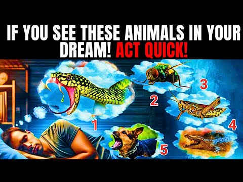 5 Most Dangerous Animals You Should Never See In Your Dream!