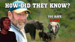 The Elephant Mystery Science Still Can't Explain
