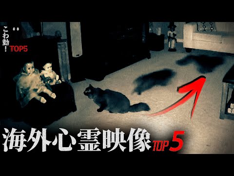 ゾッとする心霊映像5選…「猫も逃げ出す心霊現象」｜パート129