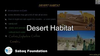 Desert Habitat
