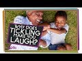 Understanding Tickling