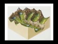 Exploring Landscapes Shaped by Glacial Erosion