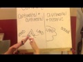 Geological Processes and Time