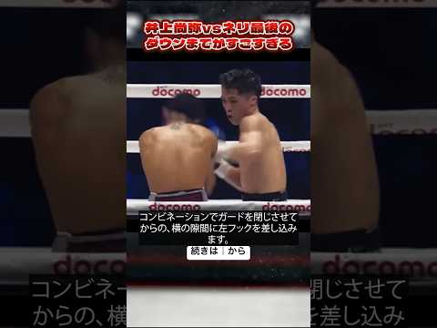 井上尚弥vsネリ、最後のKOまでが圧巻すぎる【ボクシング解説】