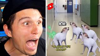 Paluten guckt Shorts bis er auf die Schultoilette muss