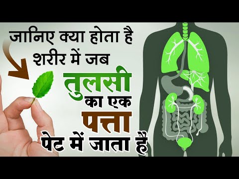 Unknown Health Benefits of Tulsi Holey Basil | तुलसी खाने का सही तरीका और अद्भुत फायदे