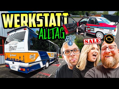 Die BAUSTELLEN hören NICHT auf! - Werkstattalltag Halle77 - Marco nimmt EUCH mit!