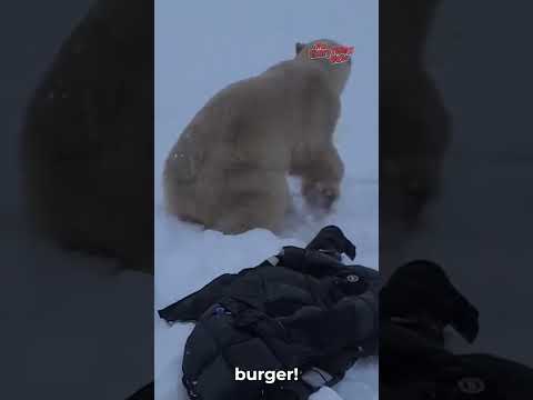 π» Bear Encounters: Thrilling Charges Caught on Camera!