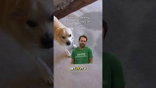 why must you do that