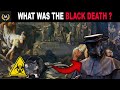 Impact and Spread of the Black Death